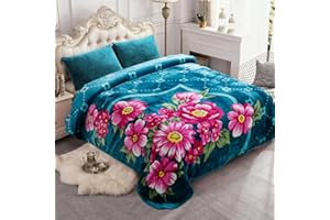 JYK Plush Fleece Blanket Queen Size 91" x 75", 3.7LBs 1 Ply Soft Korean Mink Warm Lightweight Bed Blanket for Spring Autumn Winter
