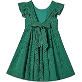 Rysly Toddler Girls Backless Flutter Sleeve Lace Party Dress Elastic Waist Bow Kid Casual Dresses