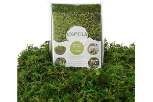 USMOLA 8OZ Fake Green Moss for Crafts, Terrariums, Fairy Gardens & Indoor Plants - Natural Looking Decorative Moss for Home D