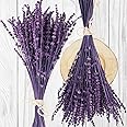 Dried Preserved Lavender Flowers Bundle-Natural Dried Lavender Bouquet 180-200 Stems 15''-17" for Wedding Home Shower Vase Decor, Aromatherapy, Fragrance, Fresh, Dry, 2 Packs