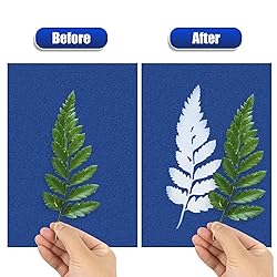Sun Print Paper Kit Cyanotype Paper, 24 Sheets