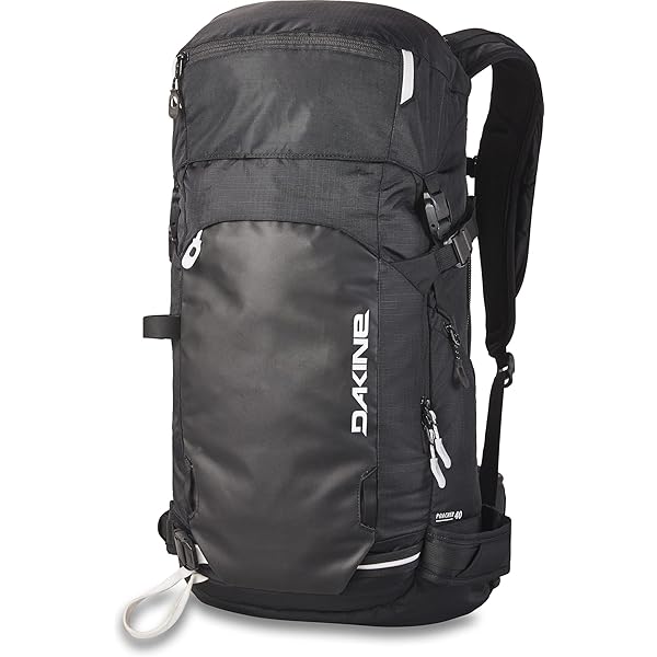 dakine poacher 32ℓ Amazon.com: Dakine Poacher 32L - Green Moss, One Size