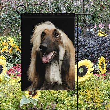 Amazon Com Alaza Afghan Hound Dog Decorative House Flag 28 X 40