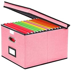 EOOUT 1 Pack File Organizer Box with Lid Hanging