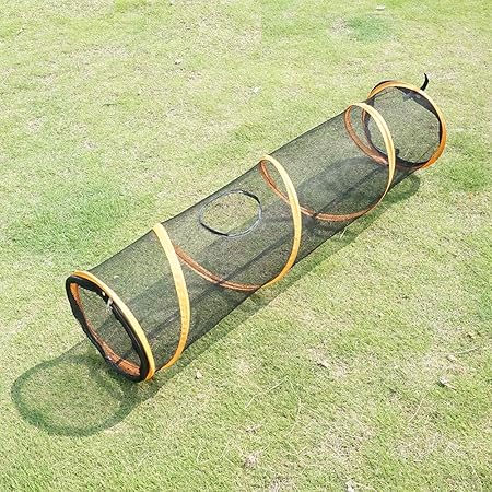 collapsible tunnel