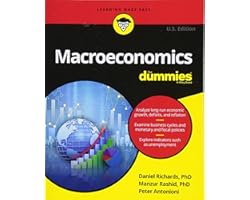 Macroeconomics For Dummies
