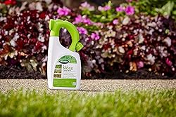 Scotts 3-in-1 Moss Control Ready-Spray, Fast-Acting