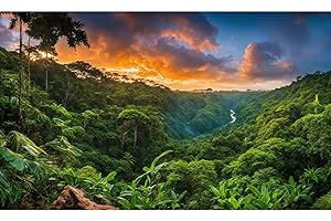 RIIVVDISE Aquarium Background Sunset Waterfall Tropical Jungle Terrarium Backdrop Lush Green Trees Jungle Style Natural Forest Landscape Fish Tank Background Reptile Habitat Backdrop Poster Vinyl 48x18in