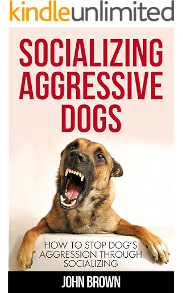 stop aggressive dog