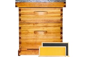 HIVEAURA Beginner 10 Frame Bee Hive Beeswax Coated Includes Beehive Frames and Foundations (1 Deep Box & 1 Medium Box)