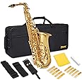 LyxJam Alto Saxophone E Flat Brass Sax Beginners Kit, Mouthpiece, Neck Strap, Cleaning Cloth Rod, Gloves, Hard Carrying Case 