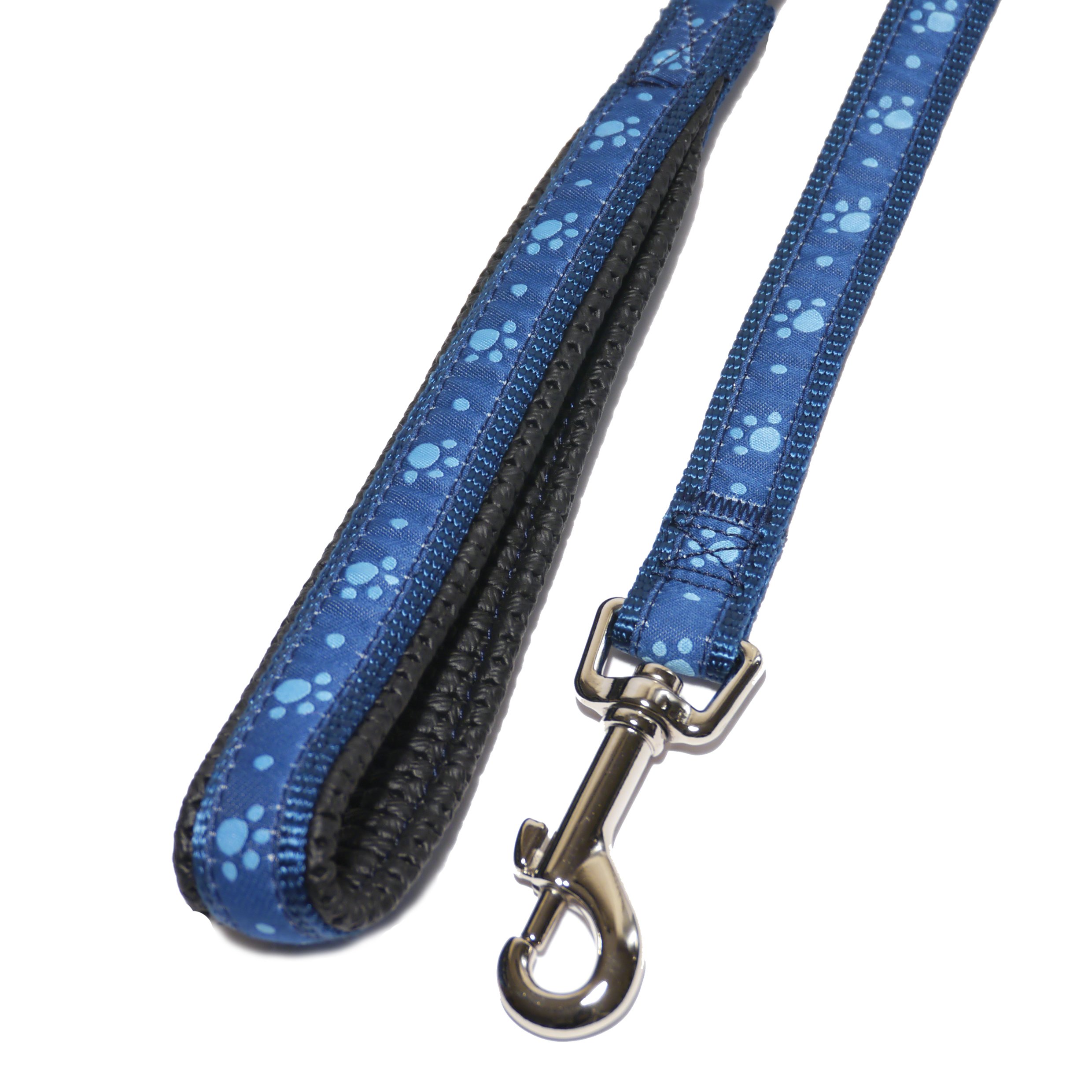 Rosewood Wag-n-Paw Walk Lead, 3/4-inch, Blue