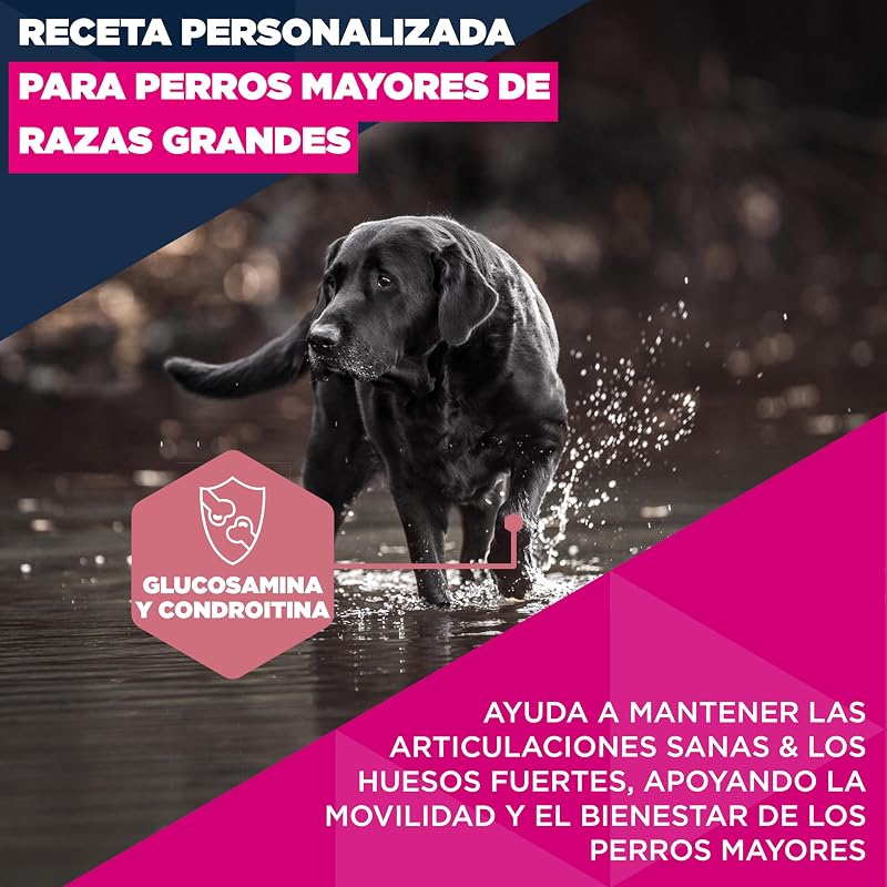 , alimento para Edad Avanzada con Pollo Fresco para Razas Grandes - Alimento seco Premium para Perros Senior, 3 kg