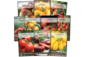 Sow Right Seeds - Tomato Seed Collection for Planting - 10 Varieties with Many Sizes, Shapes, and Colors - Non-GMO Heirloom Packets with Instructions for Growing a Home Vegetable Garden - Great Gift