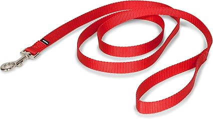 Amazon leashes Clearance