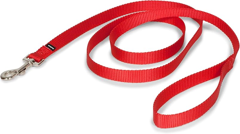 red dog collar and leash