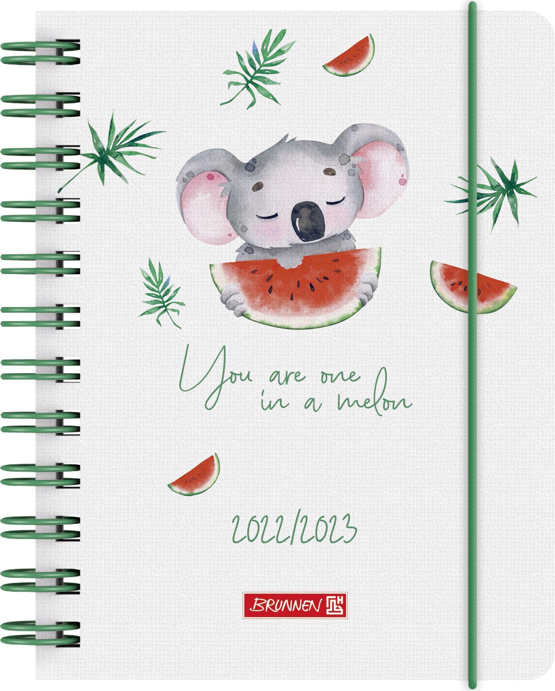 Koala School Diary