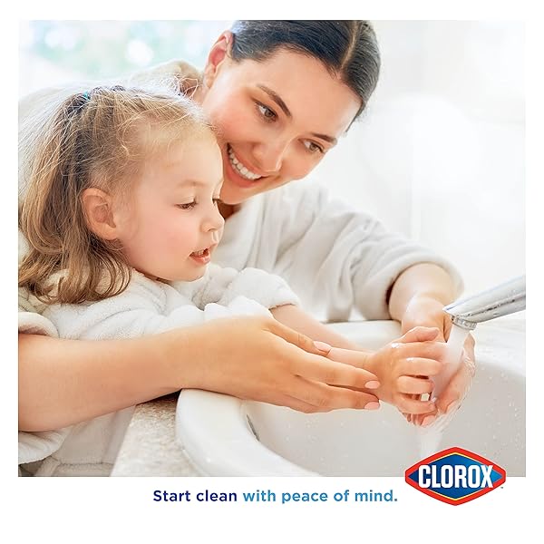 CLOROX LIQUID HAND SOAP PUMP OZ HAND SOAP LIQUID HAND SOAP ELIMINATES GERMS AND BACTERIA SOFT ON HANDS TOUGH ON DIRT, STRAWBERRY, 16 OUNCE – CLOROX HAND SOAP, HAND WASH, SOFT SOAP, FOAM SOAP