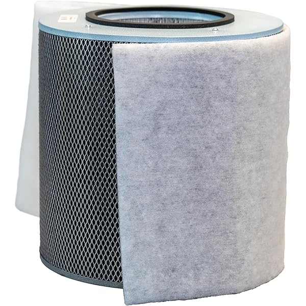 Amazon.com: Austin Air Healthmate Junior Replacement Filter, White