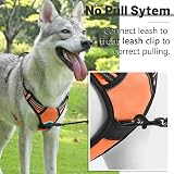Belababy Dog Harness Small Medium Large No Pull Adjustable Reflective Front view 4