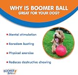Company of Animals Boomer Ball 10 inch Tough Dog Toy Floats Assorted view 3
