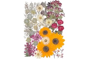 ZMRU 12“ Large Bulk Autumn Dried Pressed Flowers for Glass Frame, Real Dry Natural Flower Leaf Daisy for Resin Mold, Cake Decor, Phone Cases (Autumn Sunflower)