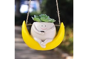 CEOJPA Swing Smiley Face Hanging Planter Pot for Indoor Outdoor Plants, Cute Swinging Plant Pot, Hanging Flower Pots, Face Planter Pot Head, Resin Succulent Planter (S-Rocking Moon)