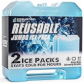Everlasting Ice RX Large Reusable Ice Packs for Cooler with Handle (4 Pack) Long Lasting Coolness, BPA Free, Freezer Packs for Extended Cooling | Cooler Ice Packs for Camping, Fishing, Hiking, Beach
