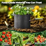 T4U 5 Gallon Grow Bags with Handles 10 Pack for Vegetables UK Gardeners view 3
