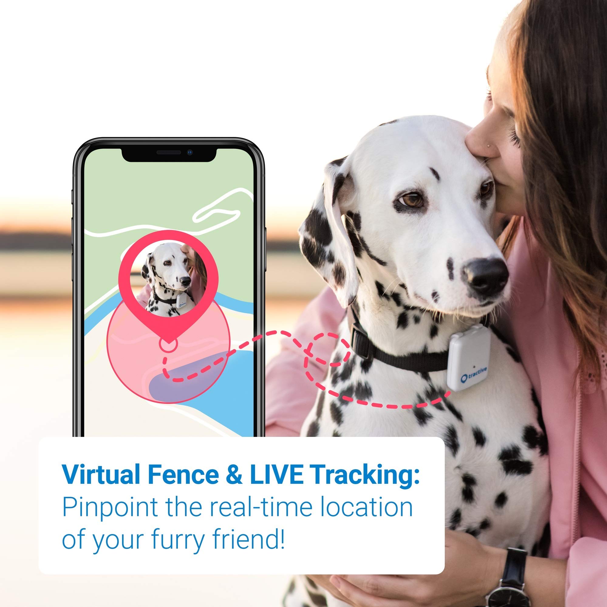Tractive Dog GPS Tracker Lightweight and waterproof dog tracking