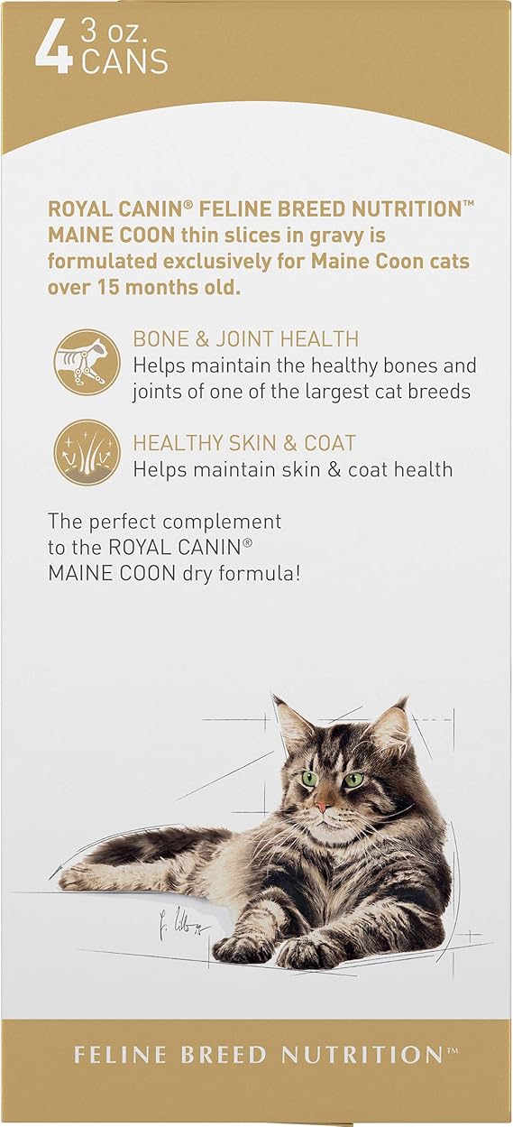 royal canin maine coon adult