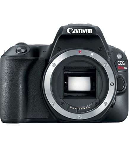 Amazon.com : Canon EOS Rebel SL2 Digital SLR Camera Body - WiFi