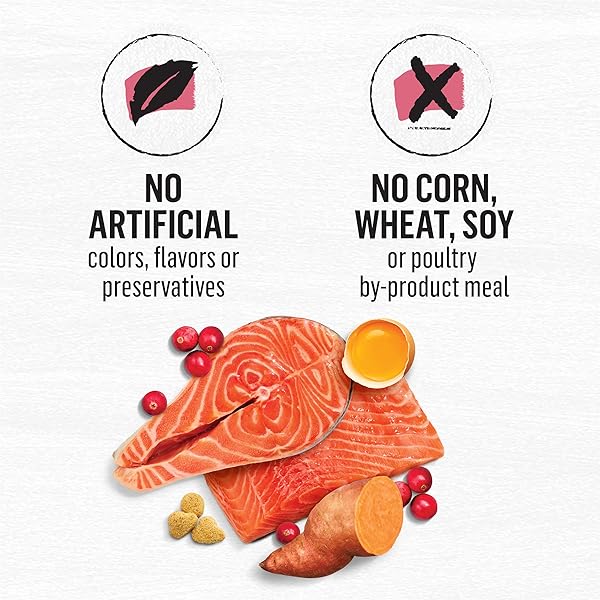 PURINA BEYOND NATURAL GRAIN FREE DRY CAT FOOD SIMPLY INDOOR SALMON, EGG AND SWEET POTATO RECIPE – 3 LB. BAG
