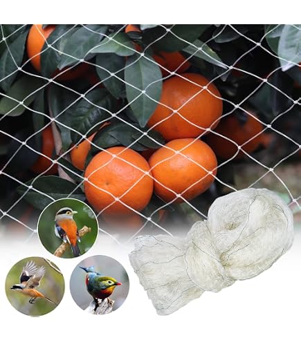 Filet Anti-insectes 3x10 M - Maille Fine Protection Potager - Résistant UV, Réutilisable - Pour Légumes, Fruits