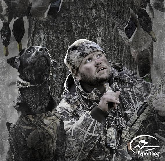 sportdog wetlandhunter 1825