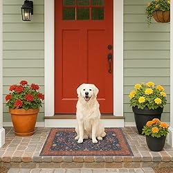 Washable 2x3 Entry Rug Front Door Indoor, Farmhouse
