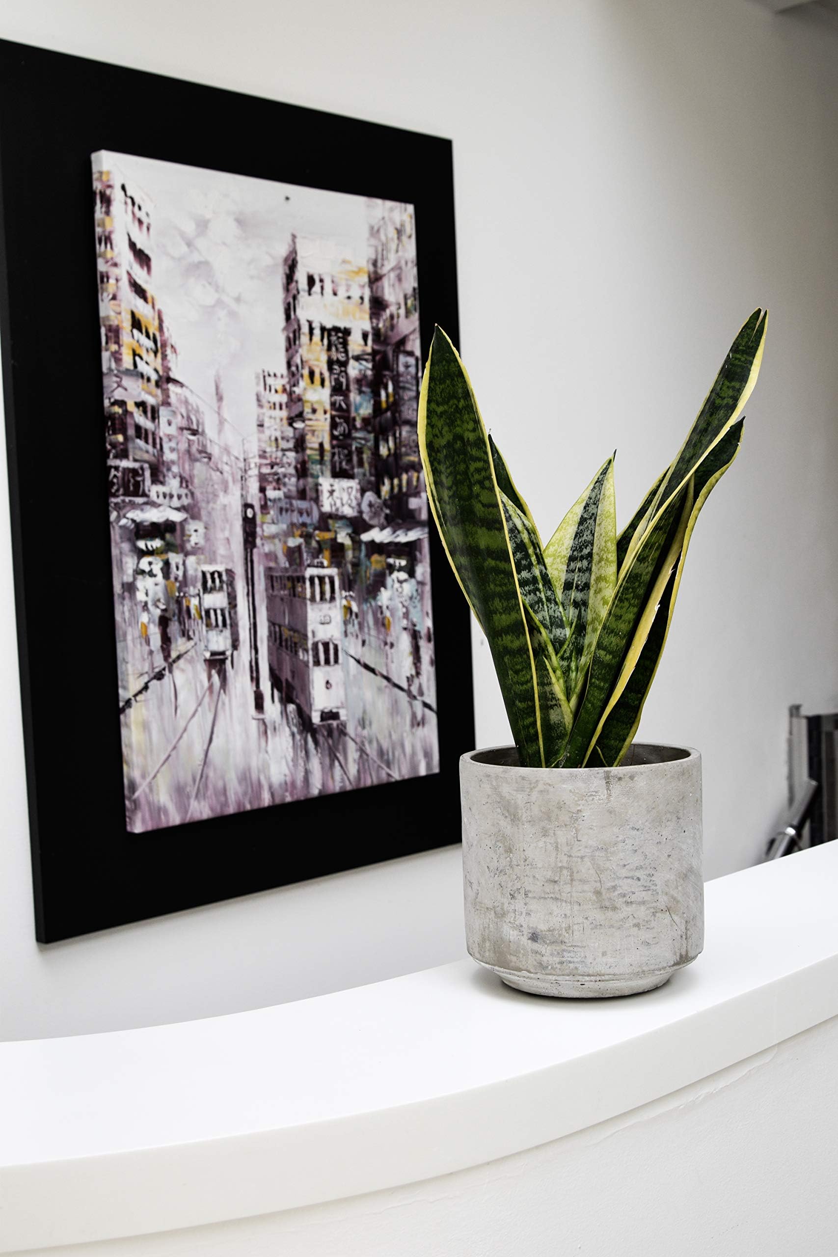 Ivyline Tivoli planter cement D18 H17 150034
