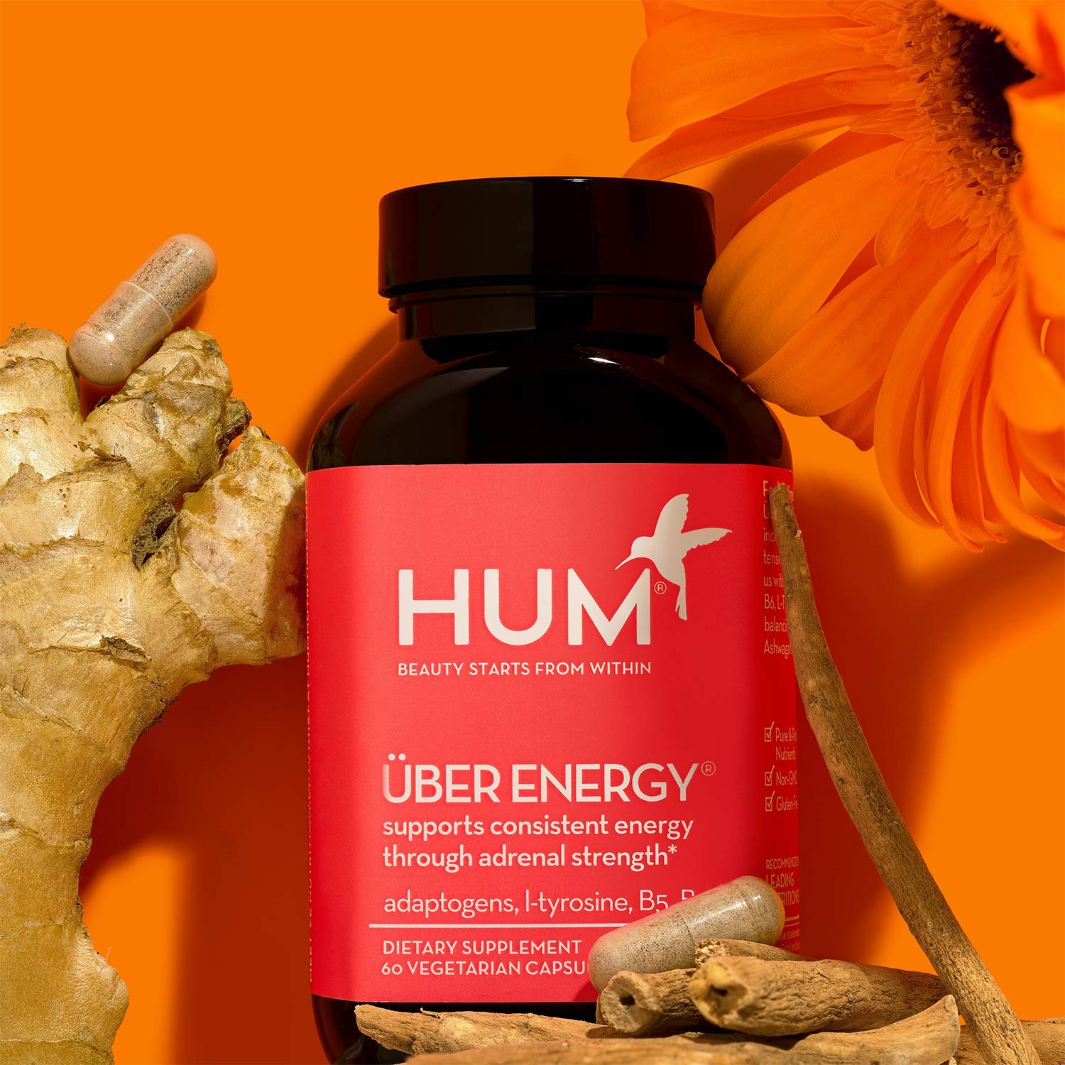 HUM Uber Energy - Adrenal Support Supplement - Natural Complex with Rhodiola, L-Tyrosine, B Vitamins to Help Minimize Fatigue, Support Energy & Promote Healthy Stress Response (60 Vegetarian Capsules) : Beauty