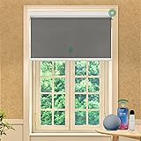 Allesin Motorized Roller Blinds with Remote Control