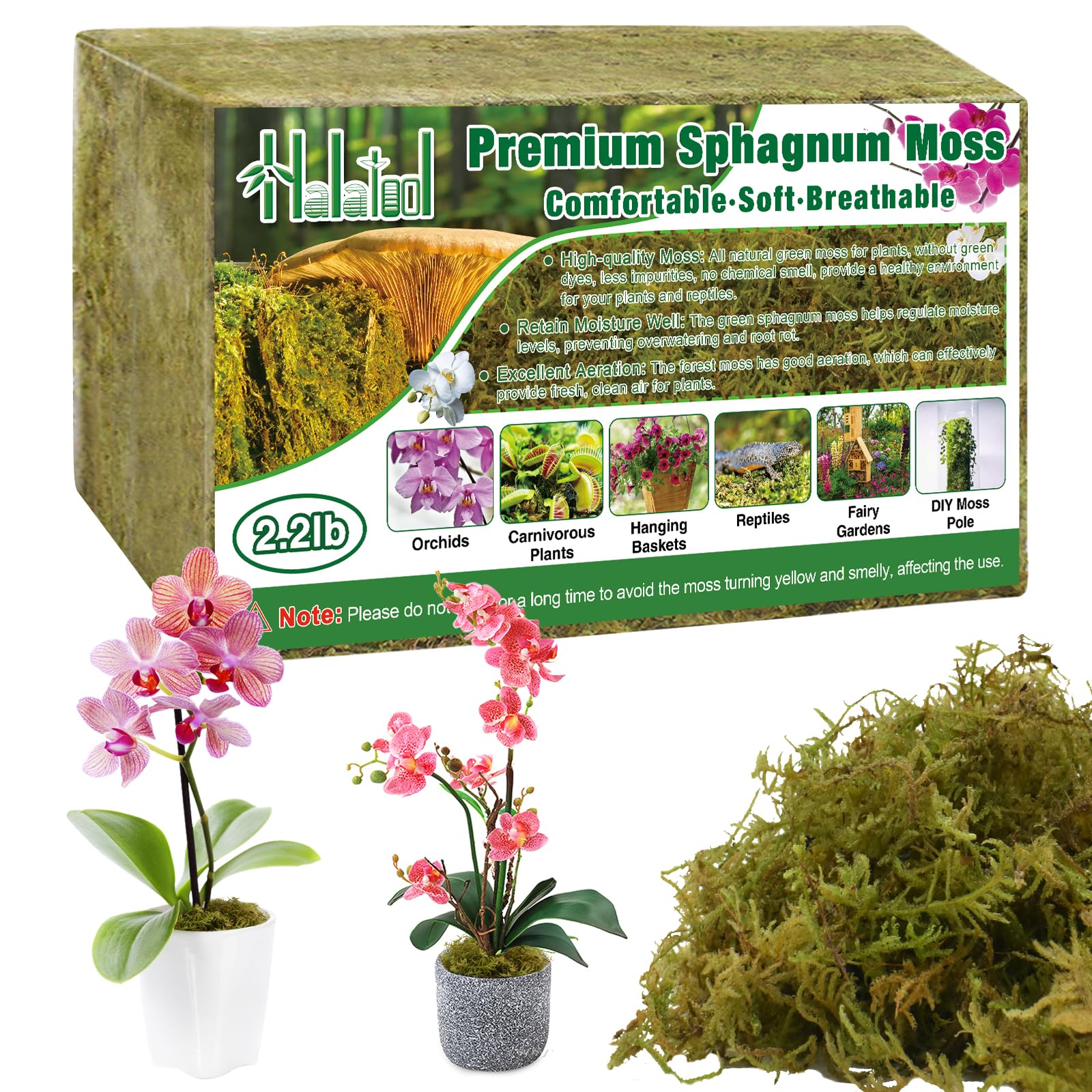 Photo 1 of Halatool 2.2LB Premium Sphagnum Moss for Plants, 50QT Green Moss for Plants Indoor Potted Orchid Moss for Repotting Succulent Carnivorous Terrarium Gardening Reptiles