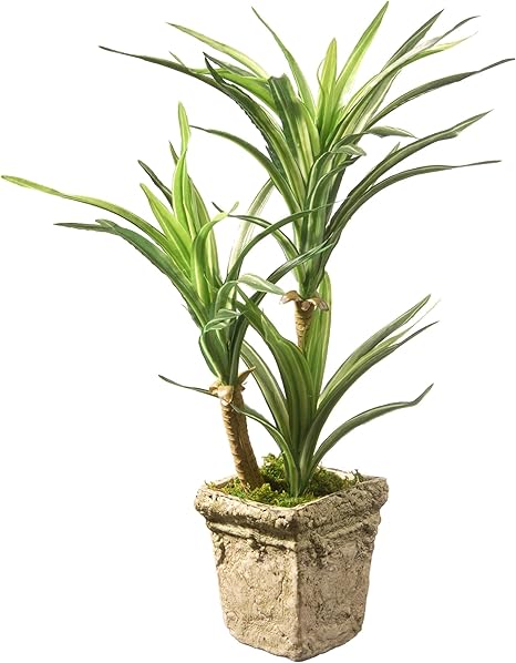 Amazon Misc グリーンユッカ植物 屋内 ヤシの木 トロピカル 14インチ 植物 花 アスパラガ科 植物 ヤシの木 人工 自然 オアシス コテージ コンテンポラリー ブラウン ベージュ ポリエステル 造花 オンライン通販
