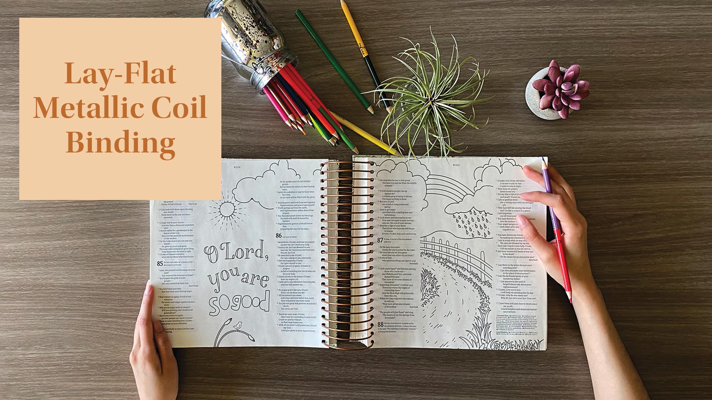 NLT DaySpring Inspire Illustrating Bible, Filament Enabled (Spiral Bound, Mint Floral Garden) NLT DaySpring Inspire Illustrating Bible, Filament Enabled (Spiral Bound, Mint Floral Garden) NLT DaySpring Inspire Illustrating Bible, Filament Enabled (Spiral Bound, Mint Floral Garden) Spiral-bound