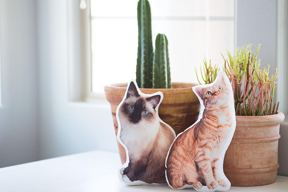 Custom Cat Pillow, Personalized Cat Pillow, Look A Like
