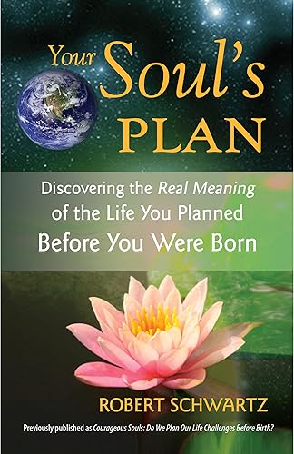 Download Your Soul's Plan: Discovering the Real Meaning of the Life You Planned Before You Were Born PDF