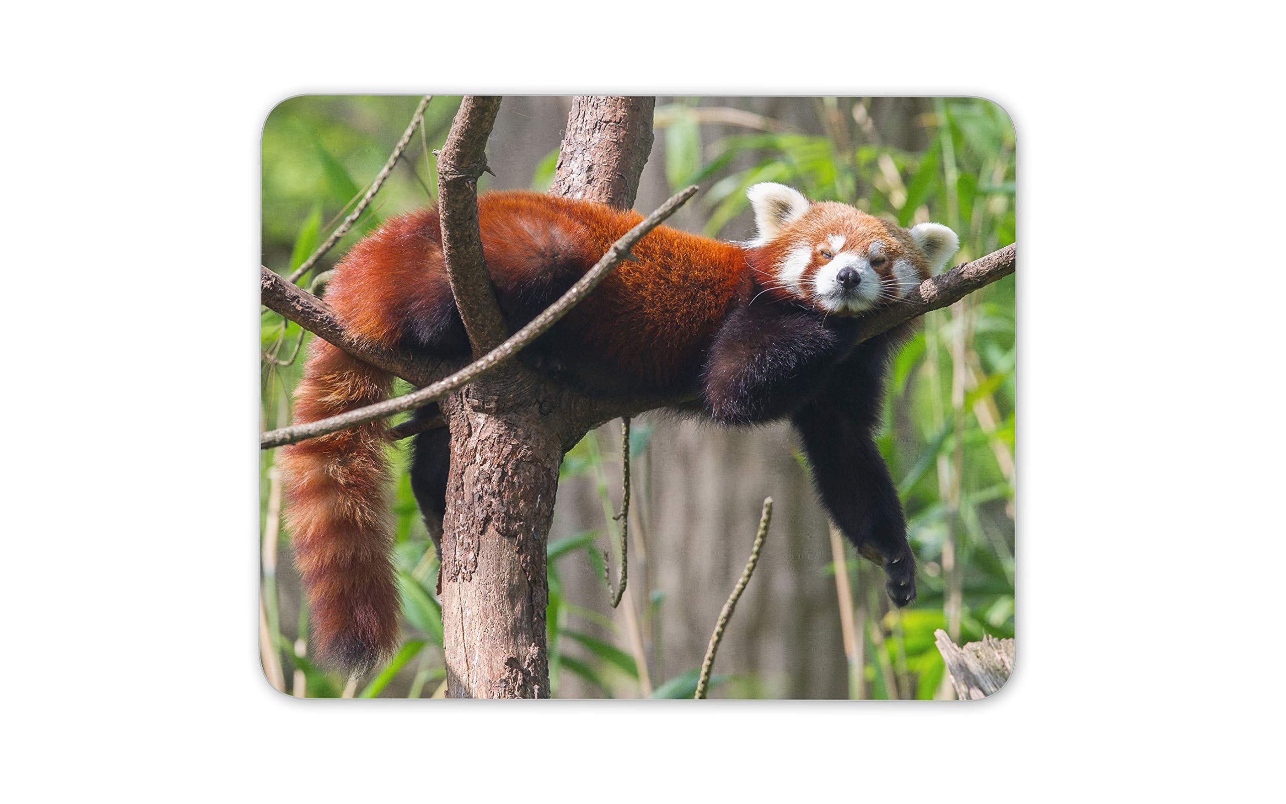 Cute Lesser Red Panda Mouse Mat Pad - Animal Tree Bear Kids Computer #14154