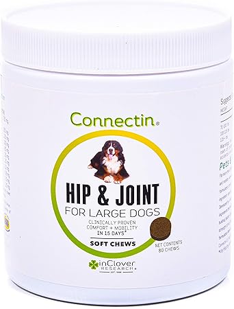 connectin hip and joint