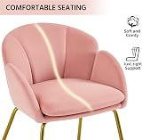 Yaheetech Velvet Tub Chair Pink with Golden Metal Legs Modern Accent Armchair view 7