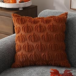 DFXSZ Fall Pillow Covers 20x20 Set of 2 Fall
