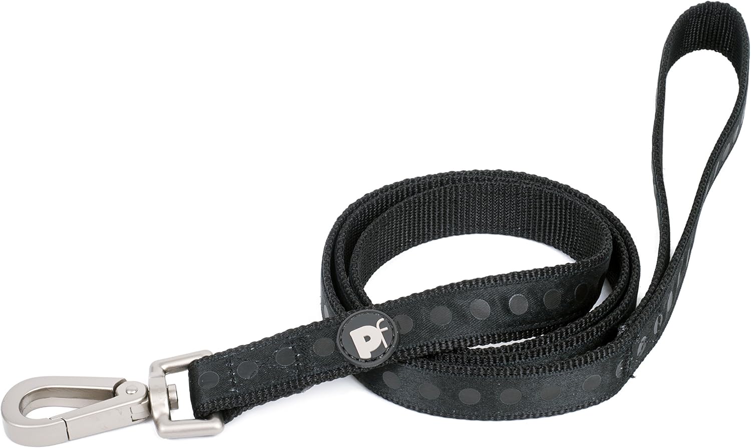 newfoundland short hair