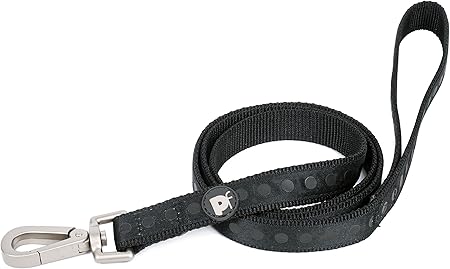 rescue yorkshire terrier